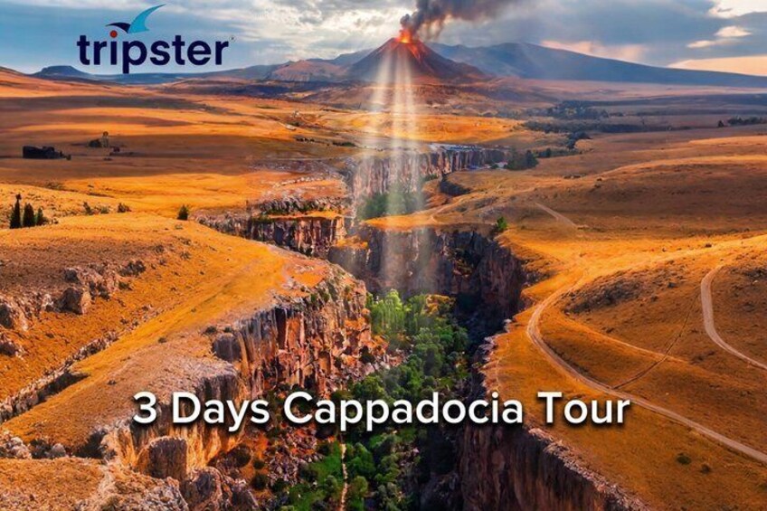 A canyon with a volcanic eruption in the background. 1