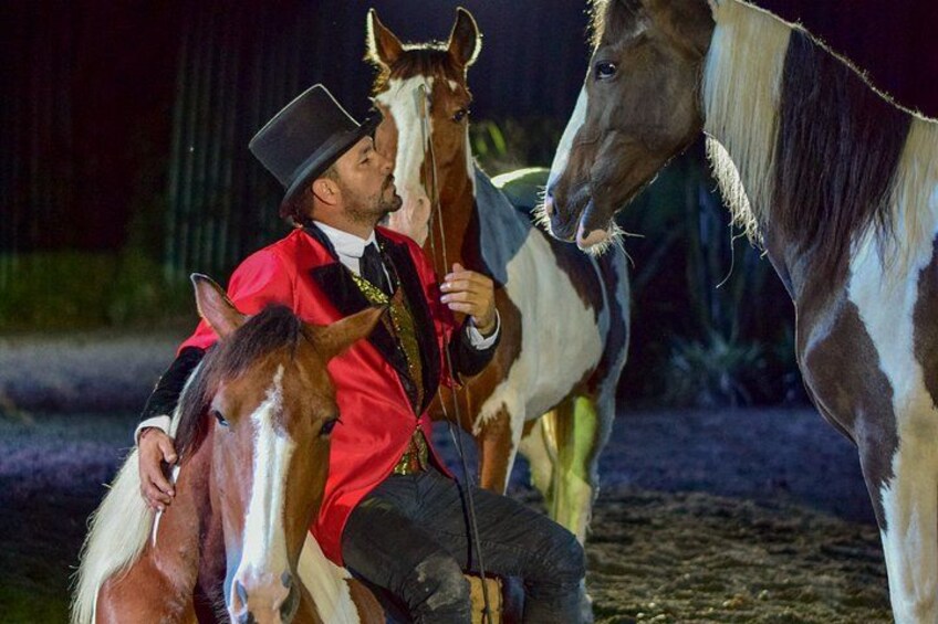 A person in a red jacket and black hat interacting with horses. 2