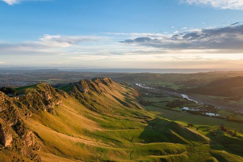 Scenic Vineyards & Te Mata Views: Napier Private Shore Tour 1