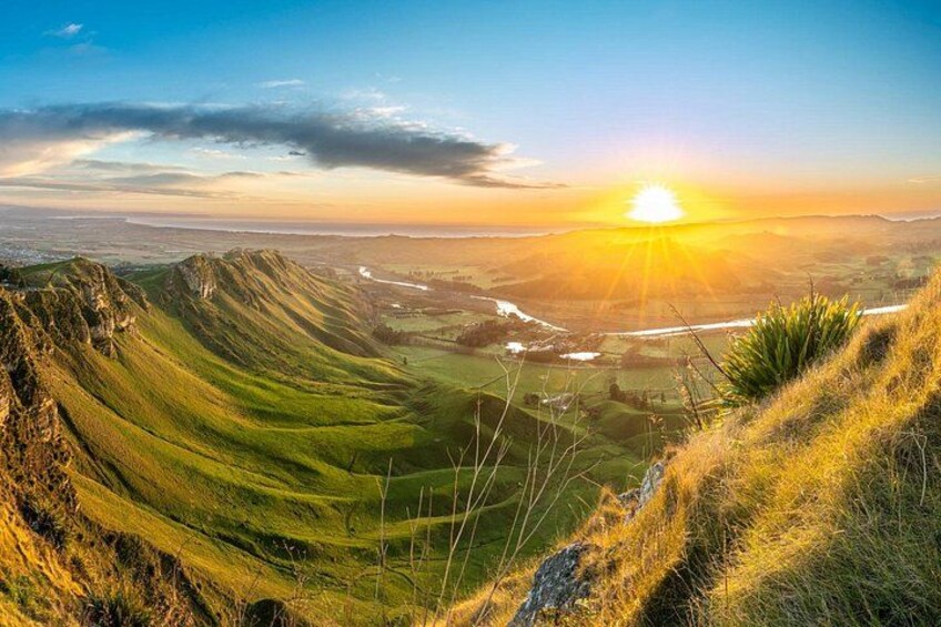 Scenic Vineyards & Te Mata Views: Napier Private Shore Tour 2