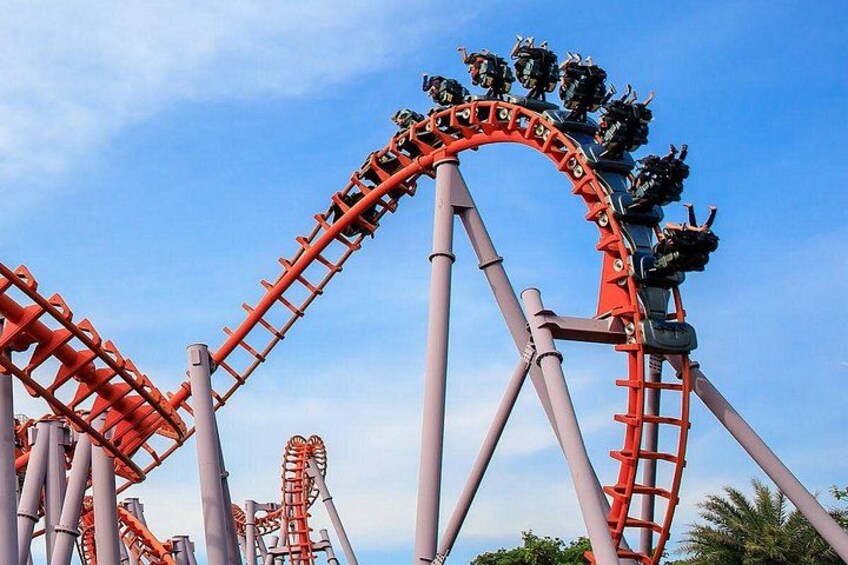 Siam Amazing Park Entry Tickets with International Buffet Lunch 4