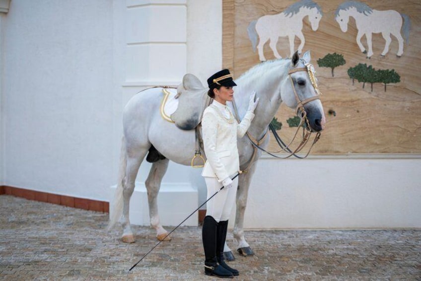 A person in equestrian attire leading a white horse in an indoor arena with a mural of horses on the wall. 3