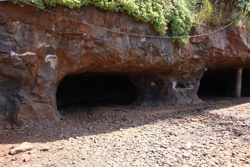 L’entrée d’une grotte, avec une surface rocheuse et de la végétation qui y pousse. 4