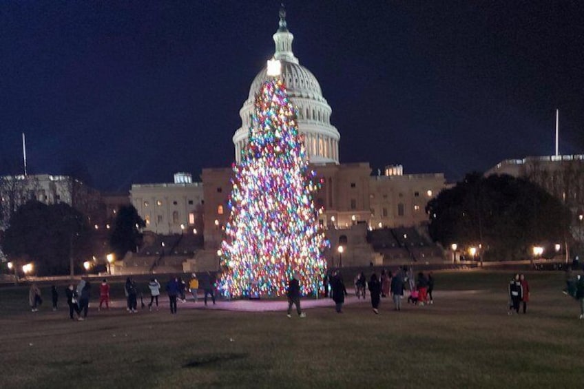 Private Guided Tour of Washington DC 2