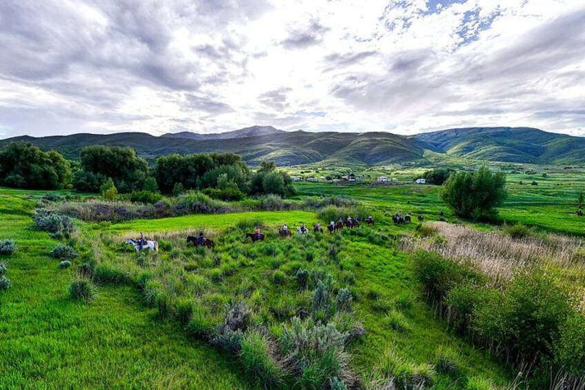 A green field with grazing animals and distant hills. 2