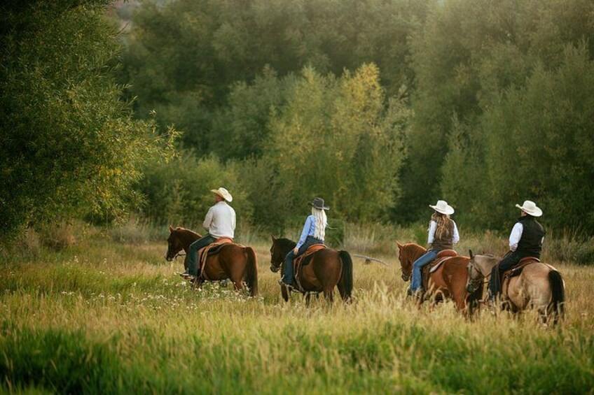 Four people riding horses in a grassy field with trees in the background. 1