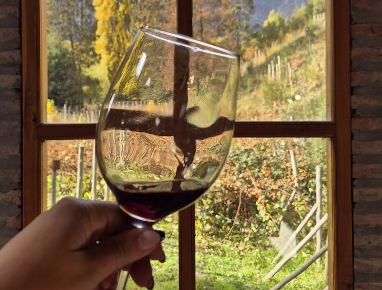 Gourmet El Bolsón: Patagonian Wine Pairing 1