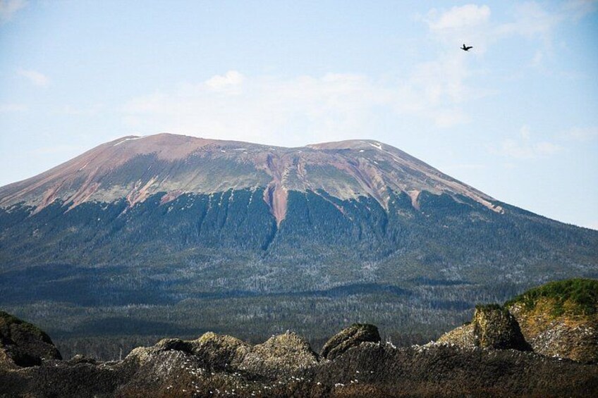 Private Guided 10 Passenger Tour to Sitka 3