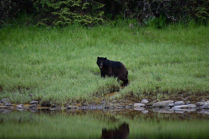Private Guided 10 Passenger Tour to Sitka 4