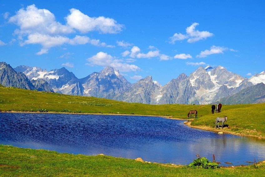 A lake surrounded by mountains, horses grazing, and a clear blue sky. 5