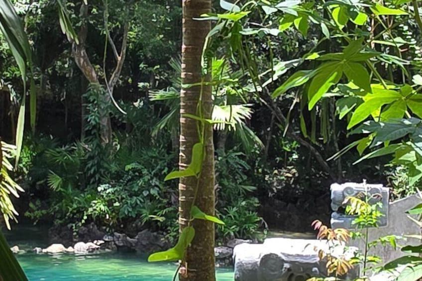 A tropical setting with a clear pool, lush greenery, and a stone structure. 2