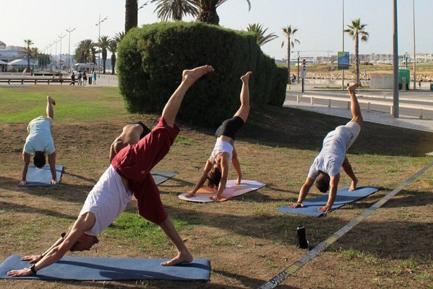 People doing yoga on mats in a park with a road and palm trees in the background. 4
