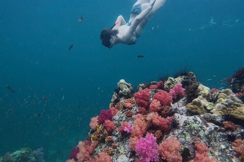 Iemand snorkelt bij een kleurrijk koraalrif. 4