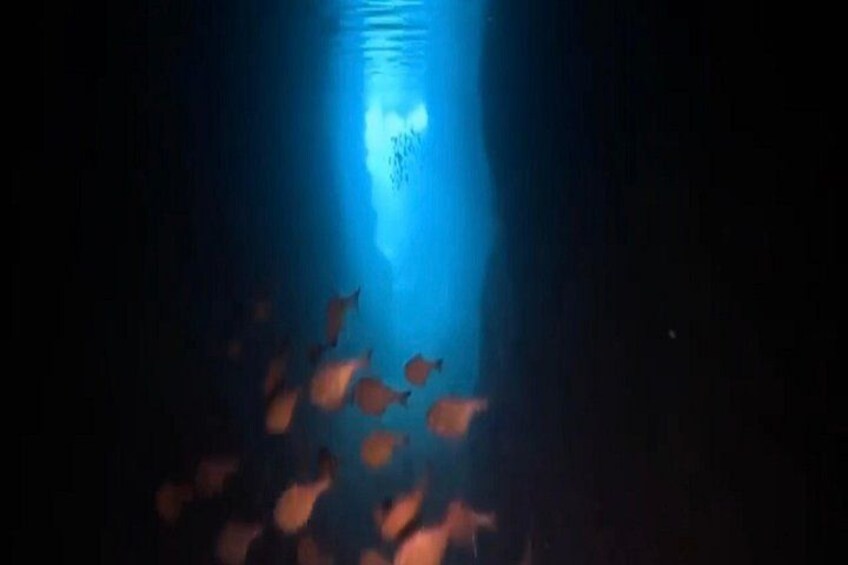 Okinawa Blue Cave Diving Adventure with Free Photos 3