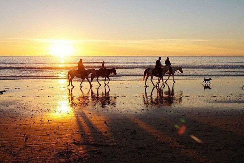 Sunset Private Horseback Riding at Kedungu Beach in Bali 5