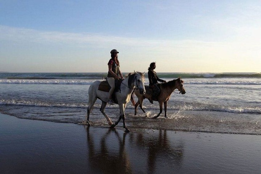 Sunset Private Horseback Riding at Kedungu Beach in Bali 4