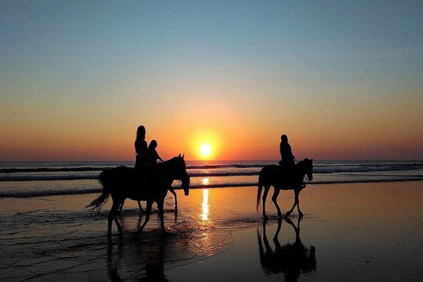 Sunset Private Horseback Riding at Kedungu Beach in Bali 1