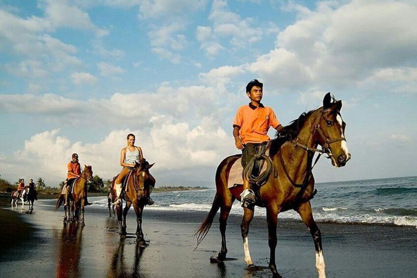 Sunset Private Horseback Riding at Kedungu Beach in Bali 3