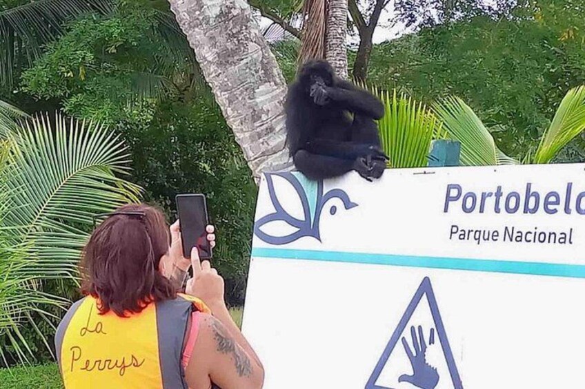 Isla Grande Panama Island Hopping and Portobelo Fort Tour 2