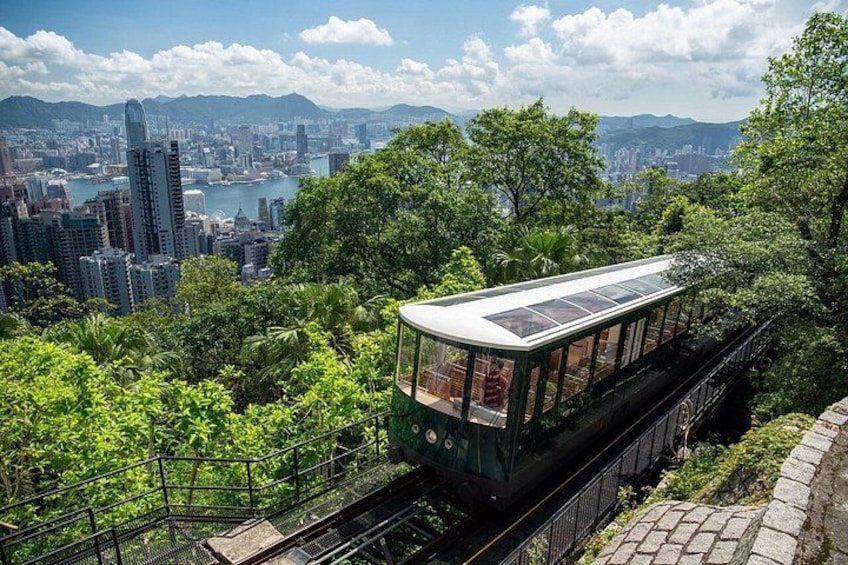 A cable car in a lush green area with a cityscape in the background. 5