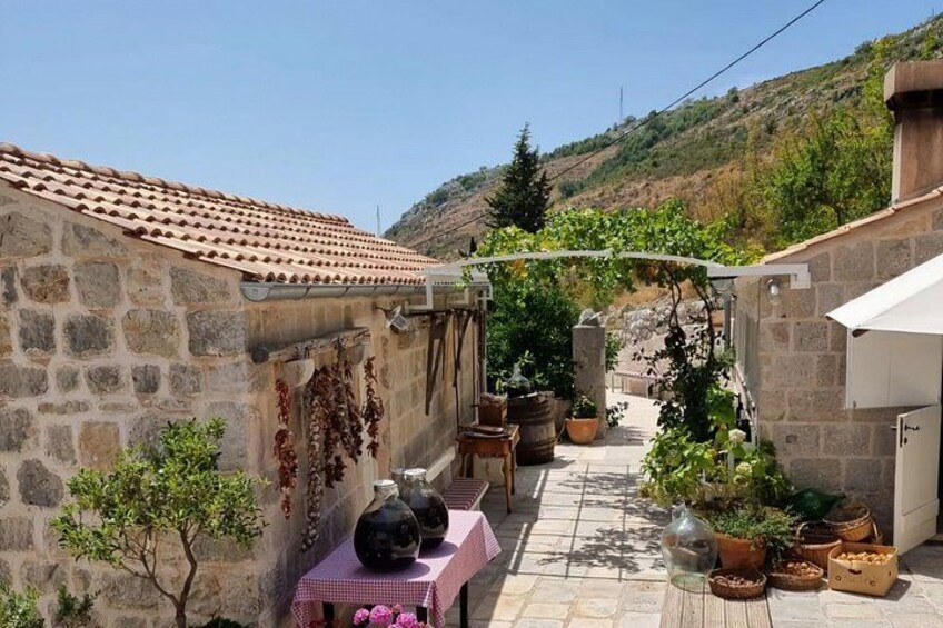 Une maison en pierre avec un toit de tuiles, un jardin agrémenté de plantes en pot et une table recouverte d’une nappe à carreaux. 5