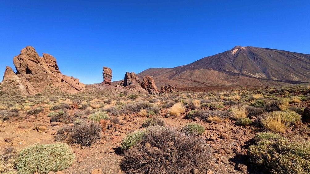 A desert landscape with rocky formations and sparse vegetation. 3