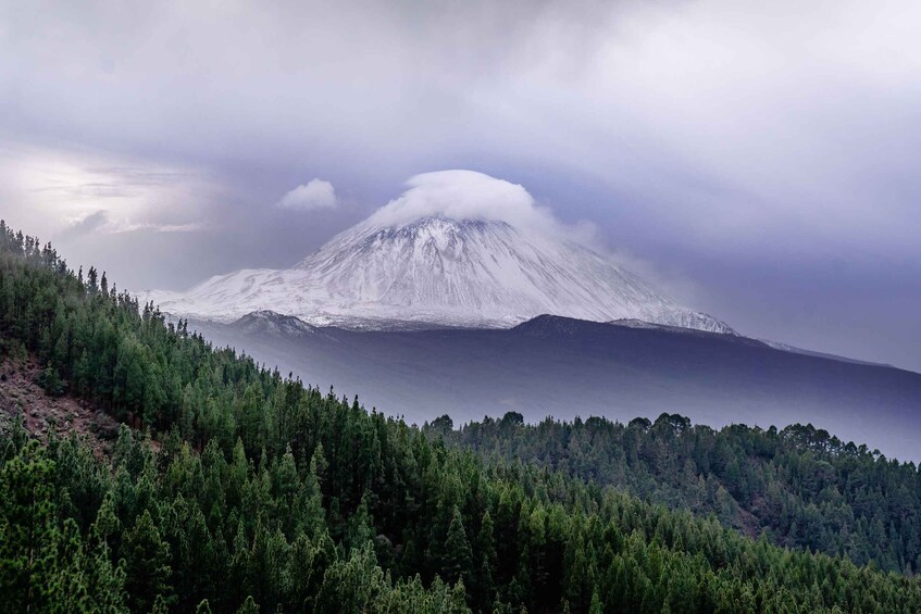 A snow-capped mountain with a forested foreground. 5