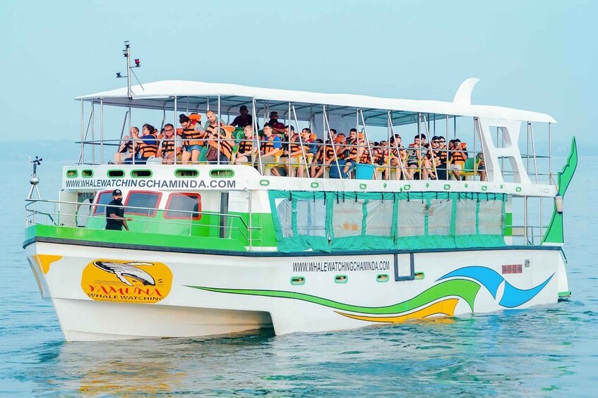 Picture 9 for Activity Mirissa Whale & Dolphin Watching Luxury Super Grade Cruiser 4