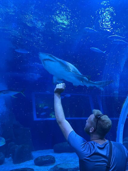 A person observing sharks in an aquarium. 4