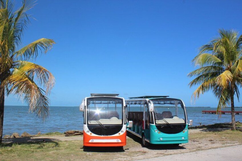 Luxury Eco Friendly TukTuk Bus Belize City Tour 3