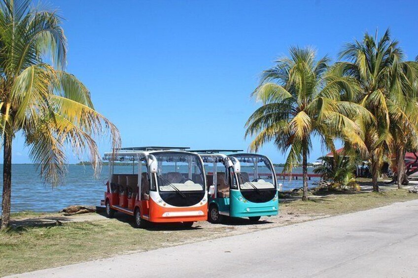 Deux autobus sont stationnés près de la plage, avec des palmiers et l’océan en arrière-plan. 2