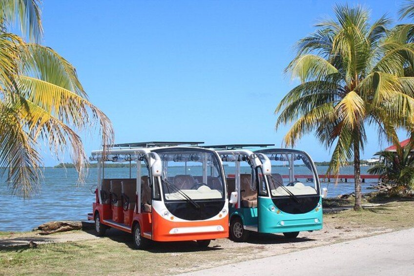 Luxury Eco Friendly TukTuk Bus Belize City Tour 2