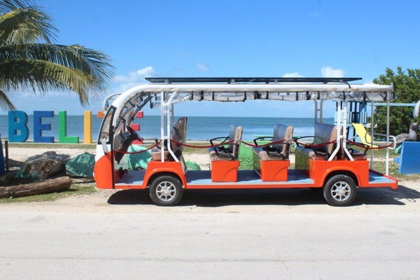 Luxury Eco Friendly TukTuk Bus Belize City Tour 1