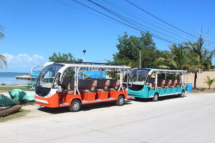 Luxury Eco Friendly TukTuk Bus Belize City Tour 2
