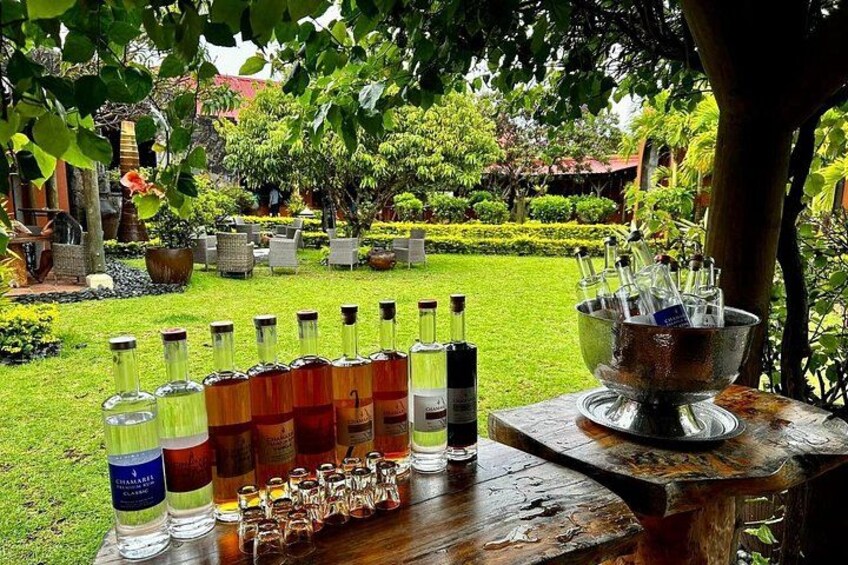 A garden setting with a table displaying various bottles and glasses, likely for a tasting event. 3