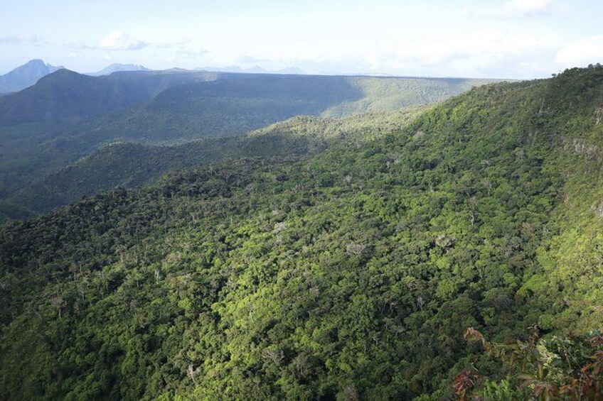 A dense forested mountain range with a clear sky. 4
