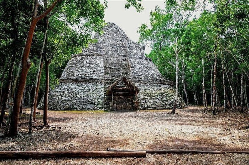 A stone structure surrounded by trees. 1
