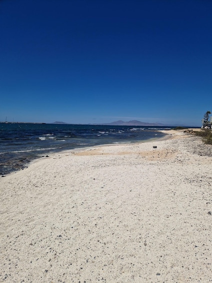 Picture 17 for Activity Fuerteventura Island sightseeing tour 4