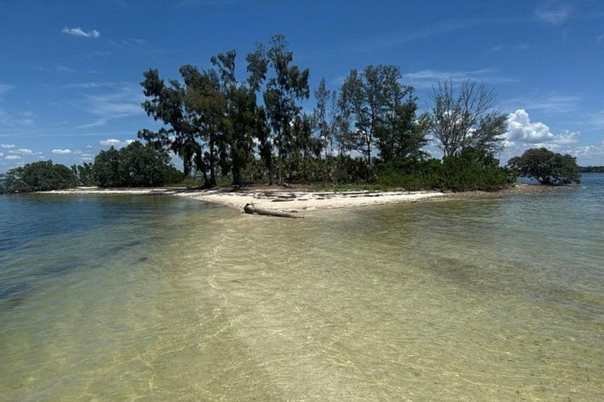 Una playa con agua cristalina, una orilla arenosa y árboles. 1