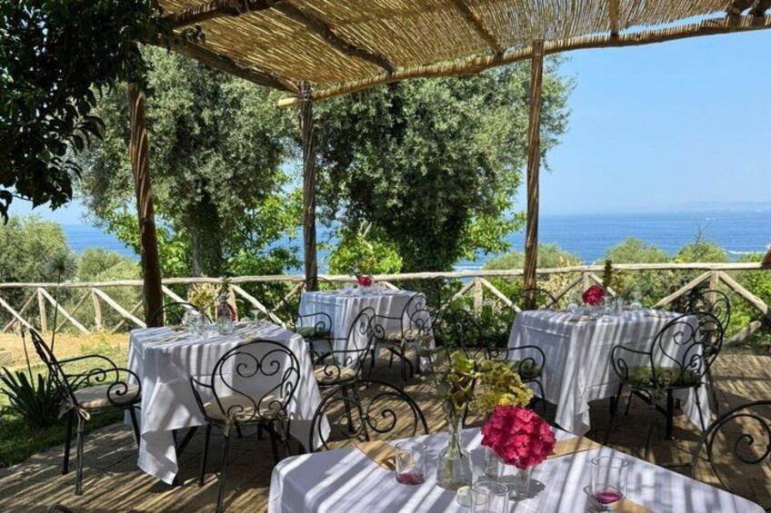 An outdoor dining area with tables and chairs, overlooking a scenic landscape with trees and the sea. 5