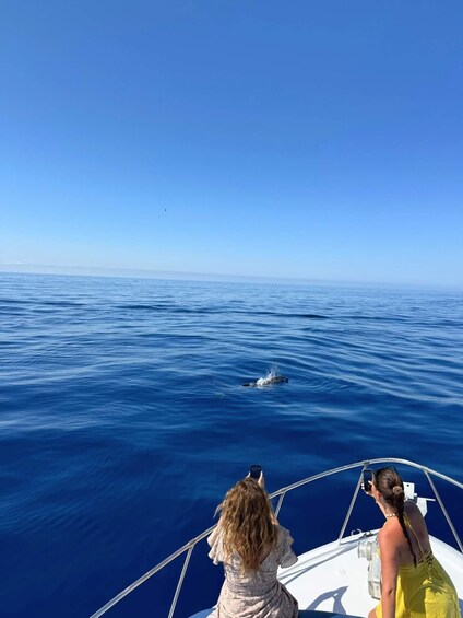 Picture 13 for Activity Benalmádena: Private boat with dolphins, snorkeling, activities, and slide 2
