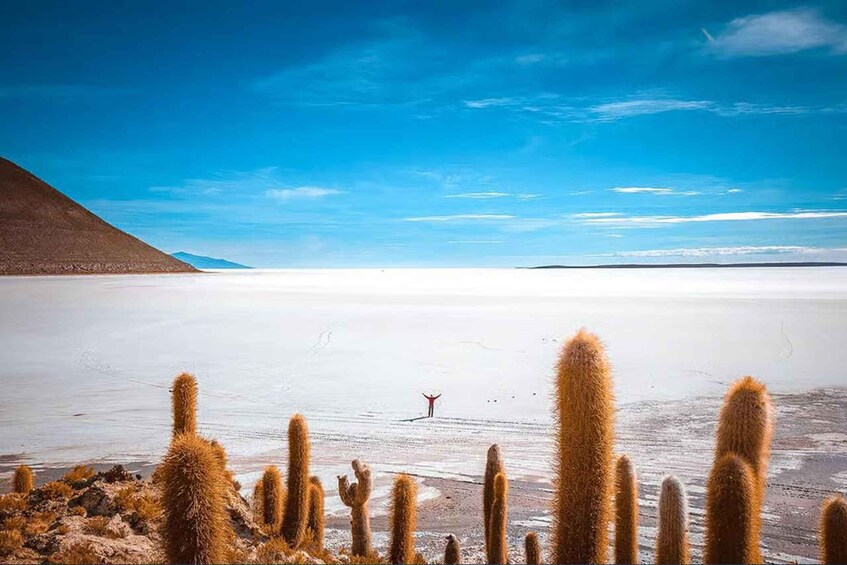 Picture 6 for Activity From La Paz: Uyuni Salt Flats 1-Day Tour with Round-Trip Bus 5
