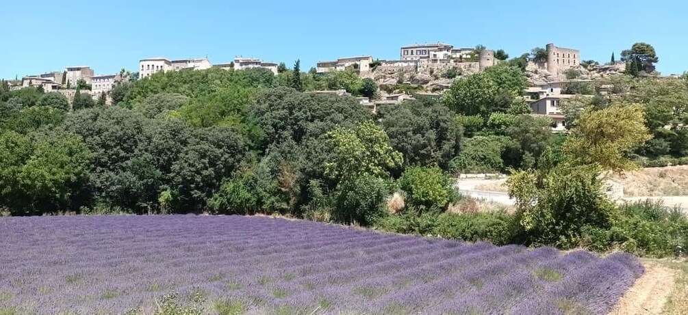 The Luberon: Visits to hilltop villages by electric-assisted bicycle 1