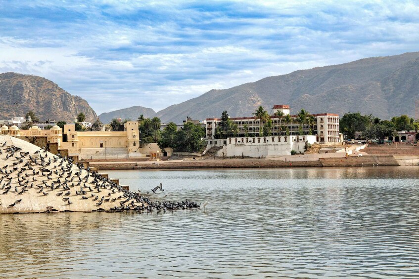 A river with a large group of birds on a concrete structure, buildings, and mountains in the background. 4