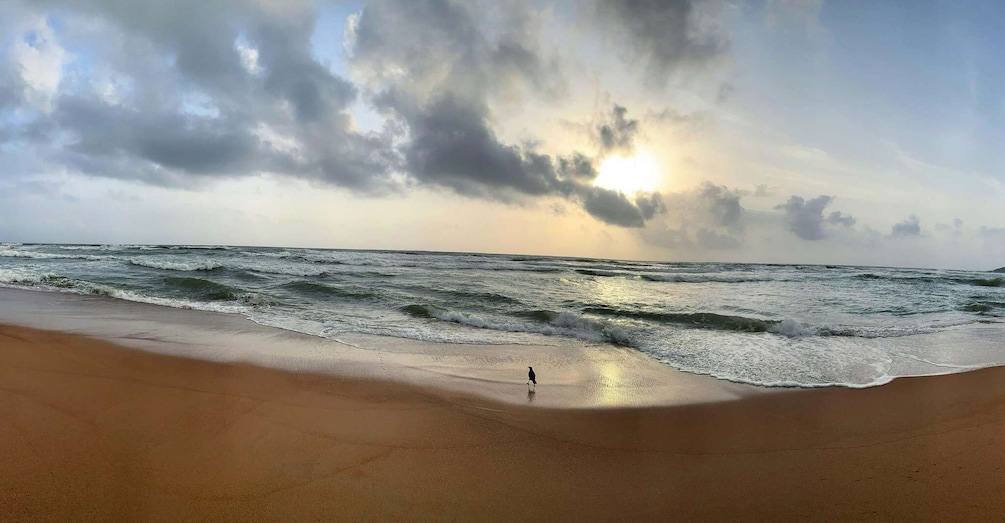 A beach with waves, a person walking, and a cloudy sky. 5