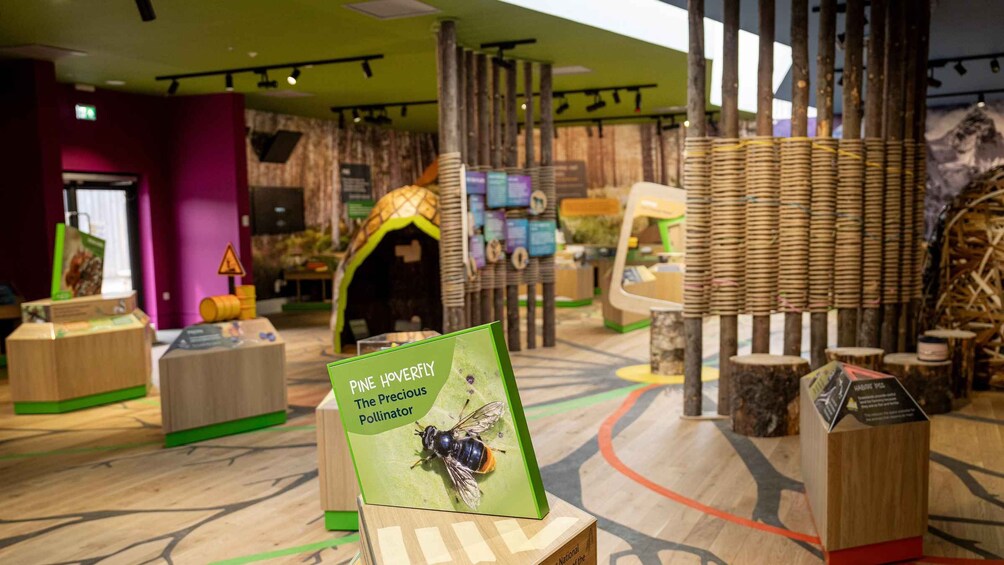 Picture 19 for Activity Kingussie: Highland Wildlife Park Entry Ticket 2