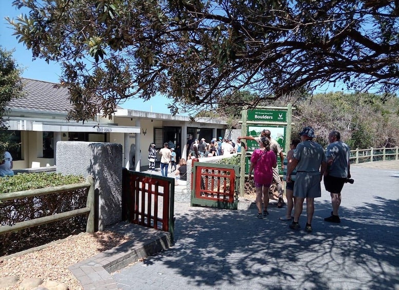 Picture 11 for Activity Cape town:Cape of good hope afternoon tour/penguins 2
