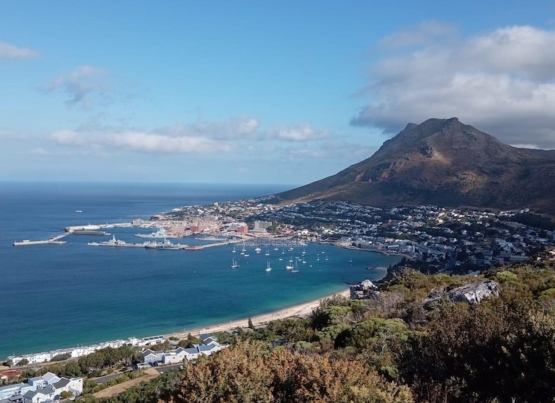 Picture 7 for Activity Cape town:Cape of good hope afternoon tour/penguins 4