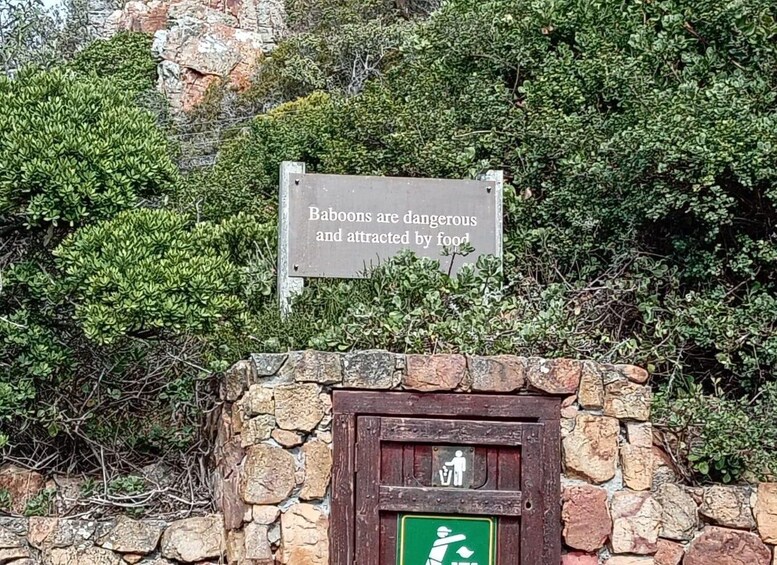 Picture 10 for Activity Cape town:Cape of good hope afternoon tour/penguins 5