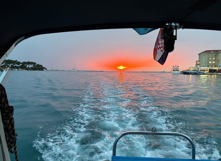 Picture 32 for Activity Private boat trips in Poreč, dolphin watching, panorama, drinks included. 3